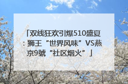 双线狂欢引爆510盛夏：狮王“世界风味”VS燕京9號“社区烟火”