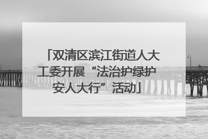 双清区滨江街道人大工委开展“法治护绿护安人大行”活动