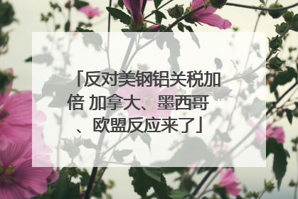 反对美钢铝关税加倍 加拿大、墨西哥、欧盟反应来了