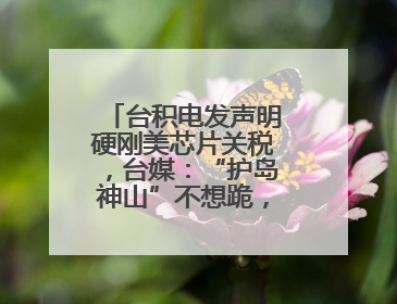 台积电发声明硬刚美芯片关税，台媒：“护岛神山”不想跪，赖当局呢？