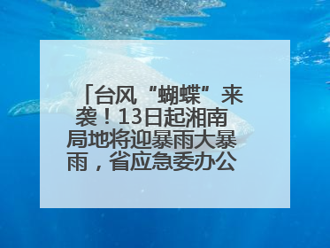 台风“蝴蝶”来袭！13日起湘南局地将迎暴雨大暴雨，省应急委办公室发布汛情提醒