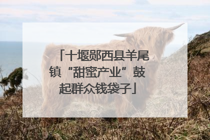 十堰郧西县羊尾镇“甜蜜产业”鼓起群众钱袋子