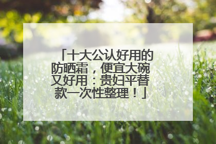 十大公认好用的防晒霜，便宜大碗又好用：贵妇平替款一次性整理！