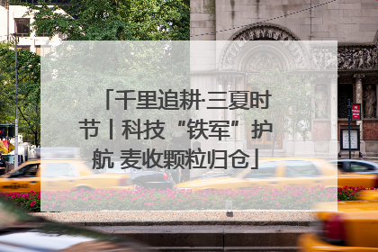 千里追耕·三夏时节丨科技“铁军”护航 麦收颗粒归仓