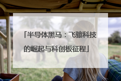 半导体黑马：飞骧科技的崛起与科创板征程