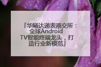 华曦达递表港交所：全球Android TV智能终端龙头，打造行业新模范