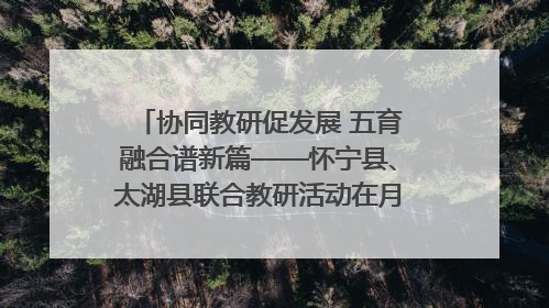 协同教研促发展 五育融合谱新篇——怀宁县、太湖县联合教研活动在月山镇中心学校成功举办