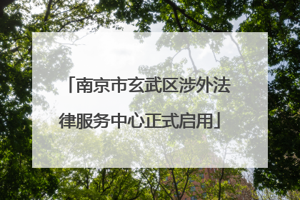 南京市玄武区涉外法律服务中心正式启用