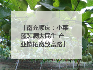 南充顺庆：小菜篮装满大民生 产业链拓宽致富路