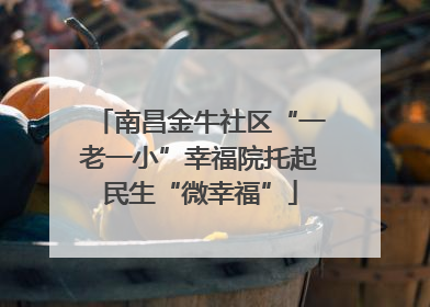 南昌金牛社区“一老一小”幸福院托起民生“微幸福”