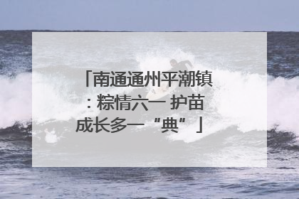 南通通州平潮镇：粽情六一 护苗成长多一“典”
