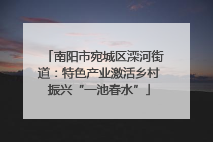 南阳市宛城区溧河街道：特色产业激活乡村振兴“一池春水”