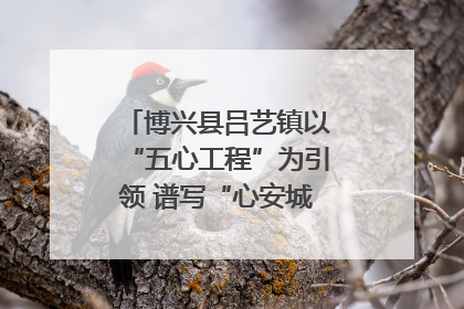 博兴县吕艺镇以“五心工程”为引领 谱写“心安城市”建设新篇章