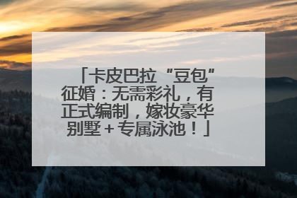 卡皮巴拉“豆包”征婚：无需彩礼，有正式编制，嫁妆豪华别墅＋专属泳池！