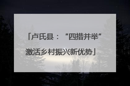 卢氏县：“四措并举”激活乡村振兴新优势