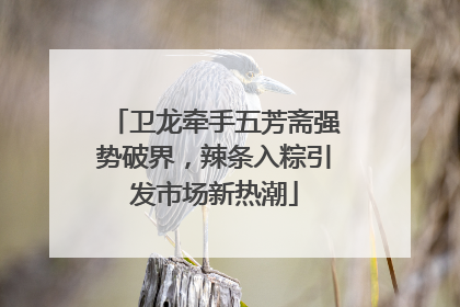 卫龙牵手五芳斋强势破界，辣条入粽引发市场新热潮