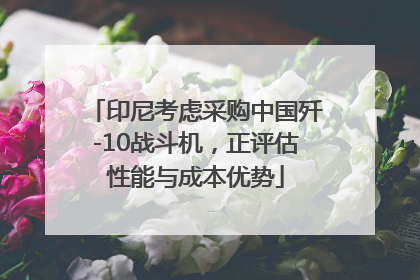 印尼考虑采购中国歼-10战斗机，正评估性能与成本优势