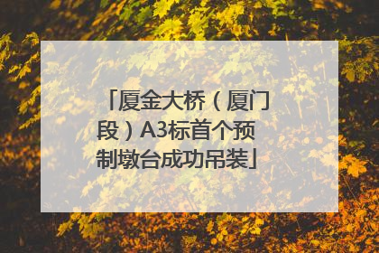 厦金大桥（厦门段）A3标首个预制墩台成功吊装