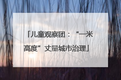 儿童观察团：“一米高度”丈量城市治理