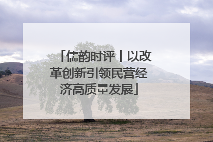 儒韵时评丨以改革创新引领民营经济高质量发展