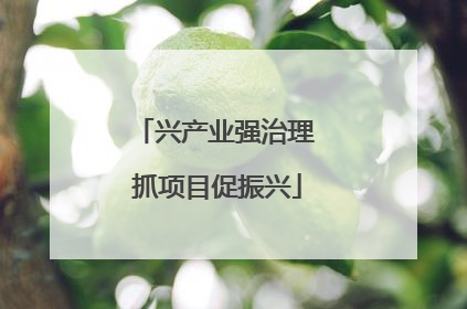 兴产业强治理 抓项目促振兴