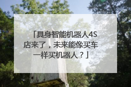具身智能机器人4S店来了，未来能像买车一样买机器人？