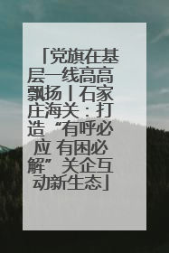 党旗在基层一线高高飘扬丨石家庄海关：打造“有呼必应 有困必解”关企互动新生态