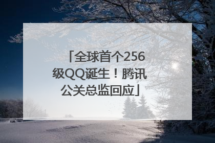 全球首个256级QQ诞生！腾讯公关总监回应