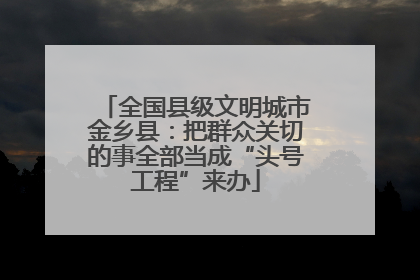 全国县级文明城市金乡县：把群众关切的事全部当成“头号工程”来办