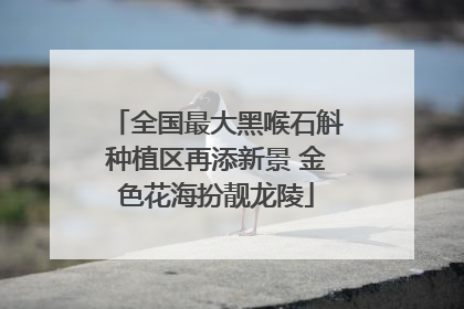 全国最大黑喉石斛种植区再添新景 金色花海扮靓龙陵