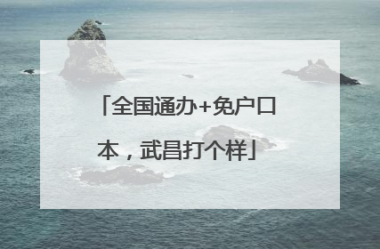 全国通办+免户口本，武昌打个样