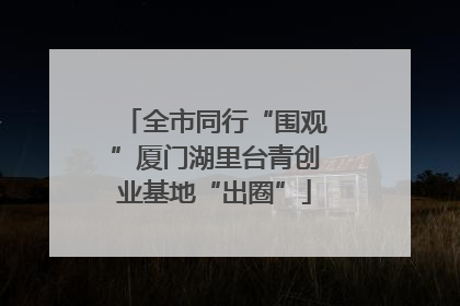 全市同行“围观”厦门湖里台青创业基地“出圈”