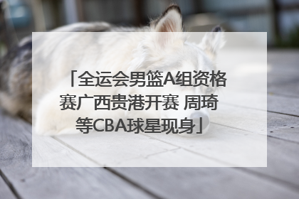 全运会男篮A组资格赛广西贵港开赛 周琦等CBA球星现身