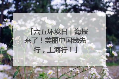 六五环境日｜海报来了！美丽中国我先行，上海行！