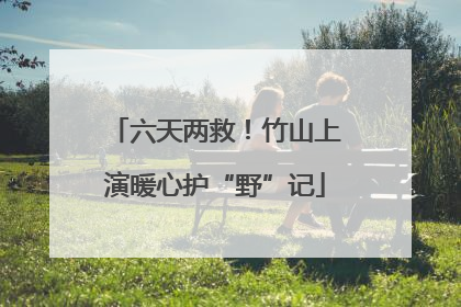 六天两救！竹山上演暖心护“野”记