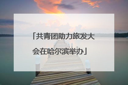 共青团助力旅发大会在哈尔滨举办