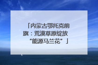 内蒙古鄂托克前旗：荒漠草原绽放“能源马兰花”