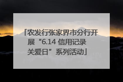 农发行张家界市分行开展“6.14 信用记录关爱日”系列活动