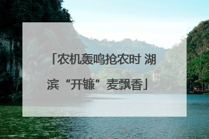 农机轰鸣抢农时 湖滨“开镰”麦飘香