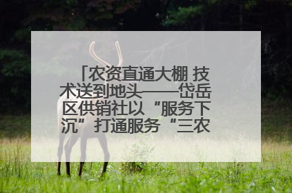 农资直通大棚 技术送到地头——岱岳区供销社以“服务下沉”打通服务“三农”最后一公里