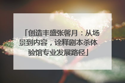 创造丰盛张馨月：从场景到内容，诠释剧本杀体验馆专业发展路径