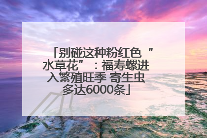 别碰这种粉红色“水草花”：福寿螺进入繁殖旺季 寄生虫多达6000条