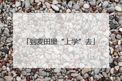 到麦田里“上学”去