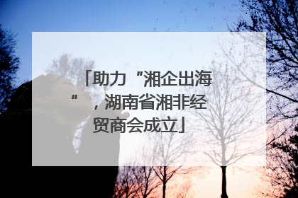 助力“湘企出海”，湖南省湘非经贸商会成立