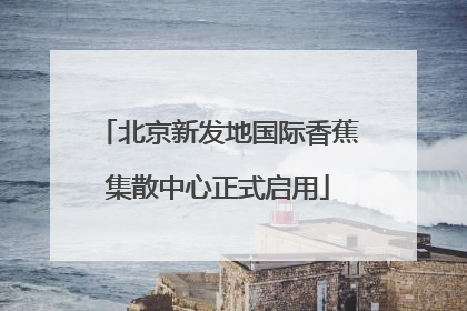 北京新发地国际香蕉集散中心正式启用