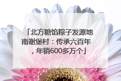 北方糖馅粽子发源地南谢堡村：传承六百年，年销600多万个