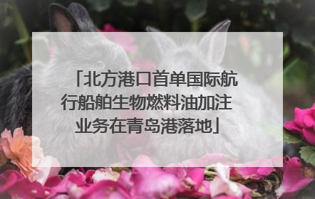 北方港口首单国际航行船舶生物燃料油加注业务在青岛港落地