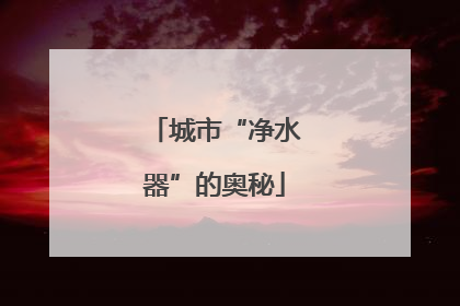城市“净水器”的奥秘