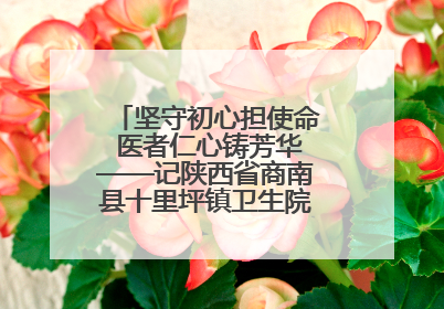 坚守初心担使命 医者仁心铸芳华——记陕西省商南县十里坪镇卫生院副院长贾胡委