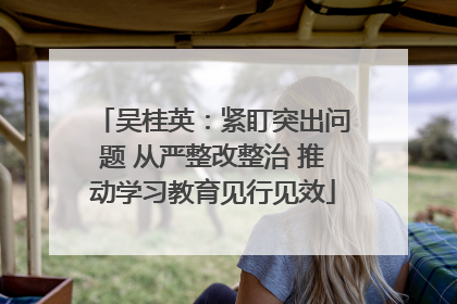 吴桂英：紧盯突出问题 从严整改整治 推动学习教育见行见效